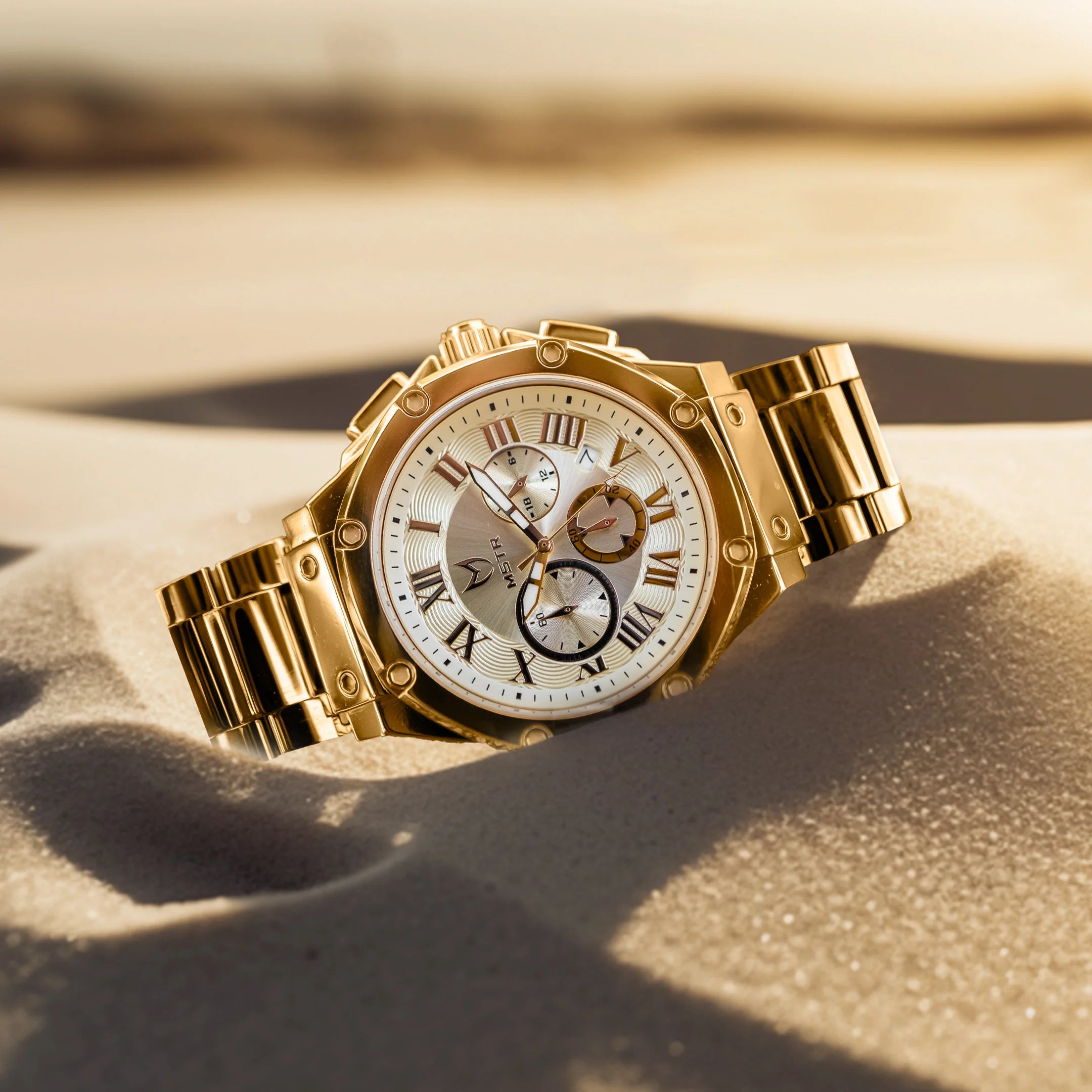 AM186SS - AMBASSADOR POLISH 18K PLATED / GOLD / SS BAND